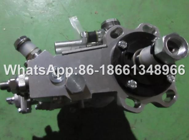 13053063 Oil Fuel Injection Pump For LONKING