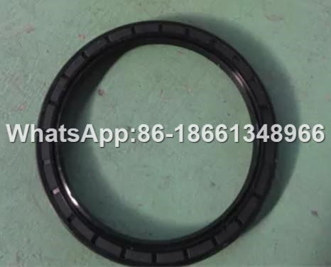 HG4-692-67 Rubber Oil Seal for Lonking CM816