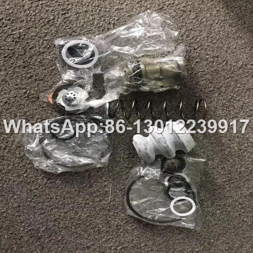 Changlin Motor Grader spare parts P-203-01-020 repair kit