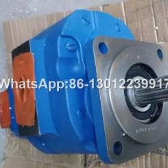 P7600-F160LX gear pump Chenggong parts