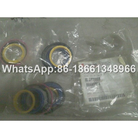 Seal set P-209-02-017 for <a href=https://www.xcmgit.com/Changlin-parts.html target='_blank'>Changlin</a> Wheel Loader